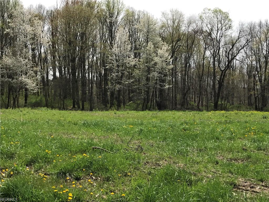 Block A Chardoney Dr, Wadsworth, OH 44281