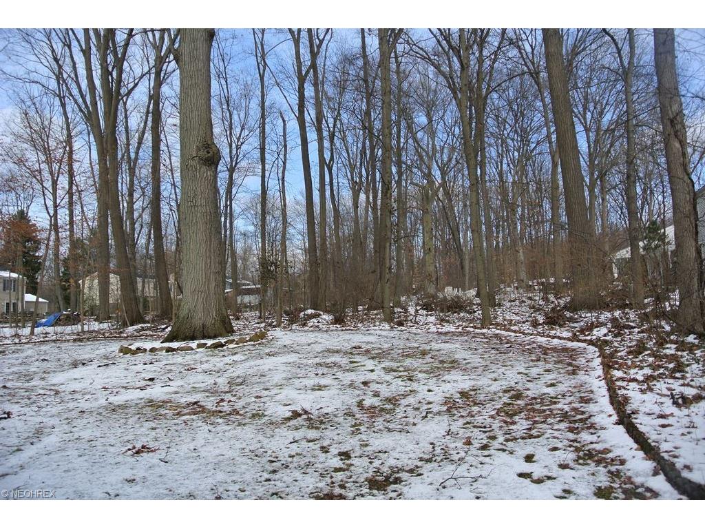 2459 Audubon Rd, Akron, OH 44320