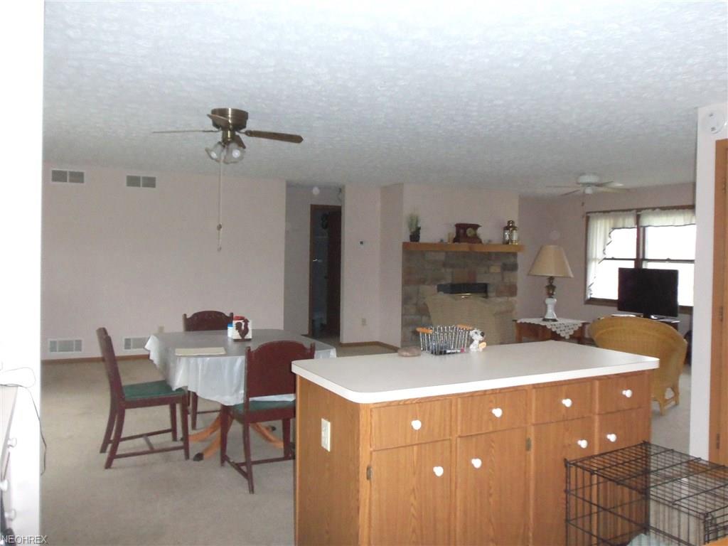 17020 Farmington Rd, Parkman, OH 44491