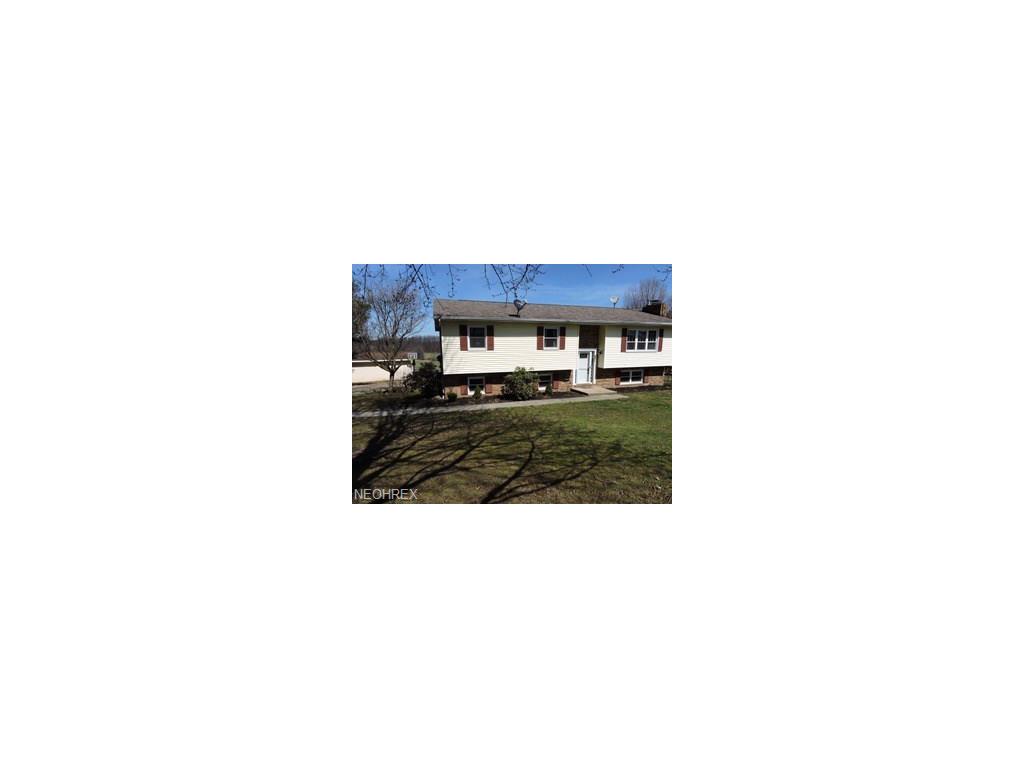 4802 Holmeswood Dr, Winona, OH 44493