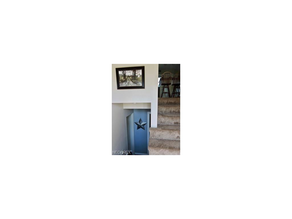 4802 Holmeswood Dr, Winona, OH 44493