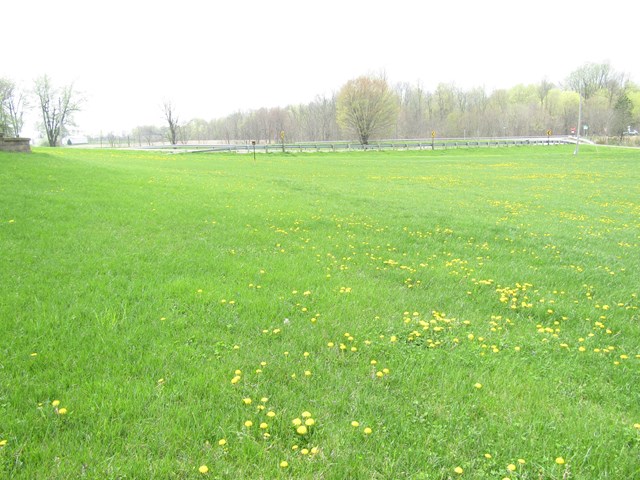 3657 Bellville North Rd, Bellville, OH 44813