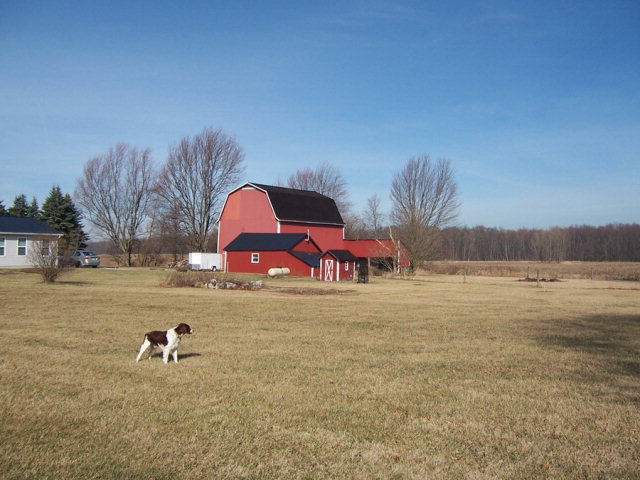 2702 Smiley Rd, Shelby, OH 44875