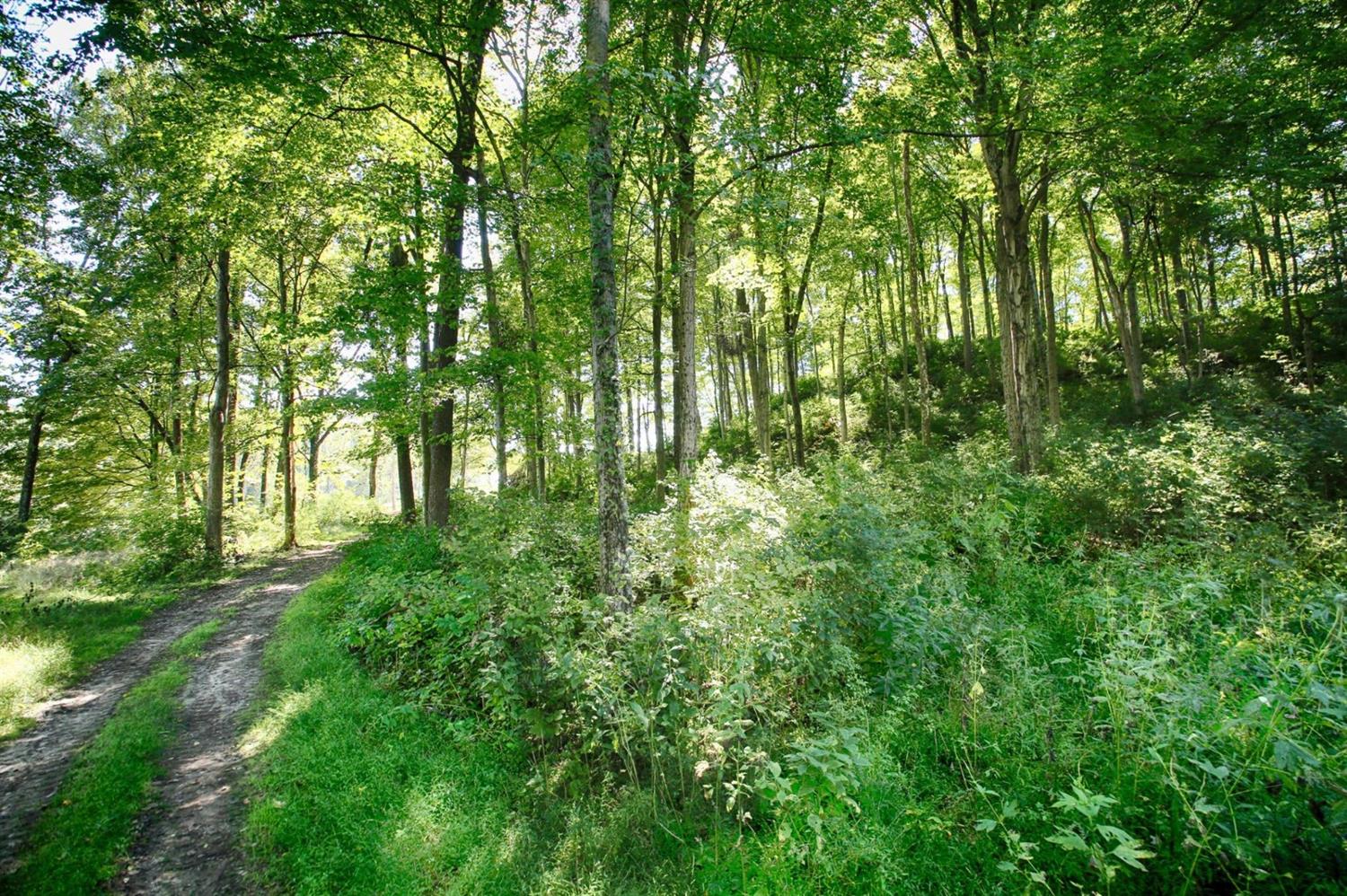 3229 Highlands Trail, Union Twp, OH 45036