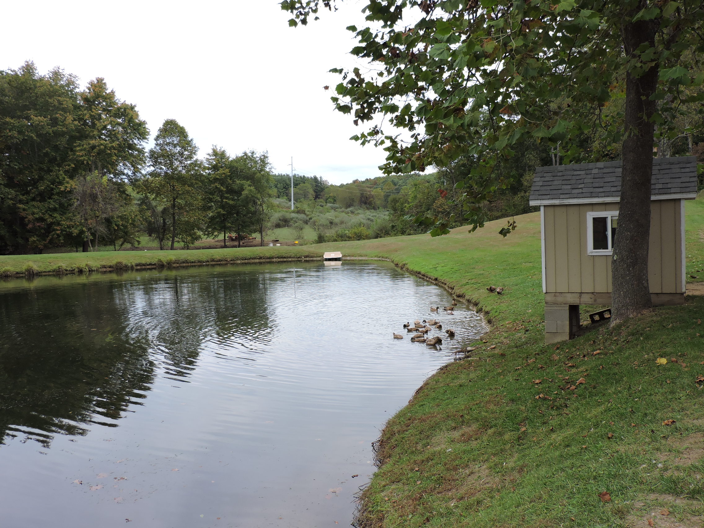 65085 Roland Road, Hamden, OH 45634