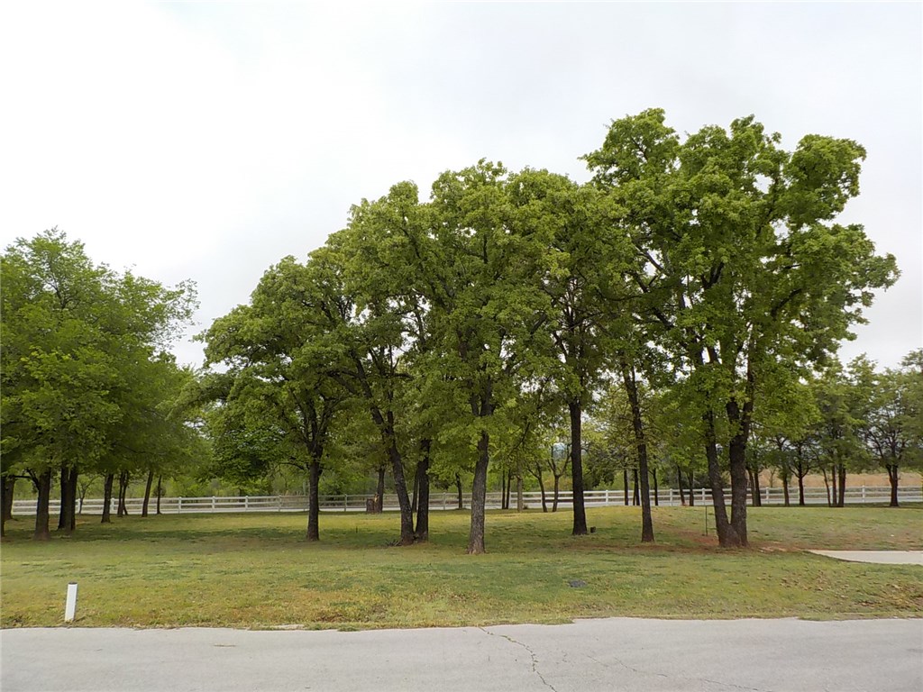 26933 Briar Oak Drive, Blanchard, OK 73010