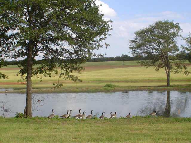 5757 E Forrest Hills Road, Guthrie, OK 73025