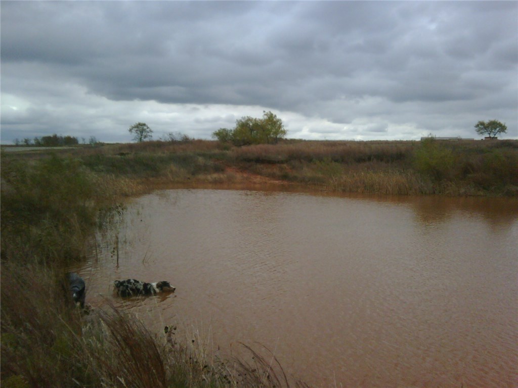 009 Wolf Creek Drive, Purcell, OK 73080