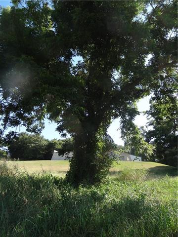 Tbd Falconhead Drive, Burneyville, OK 73430
