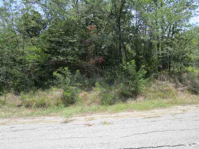 Lot 16 SW Brair Oak Trail, Kingston, OK 73439