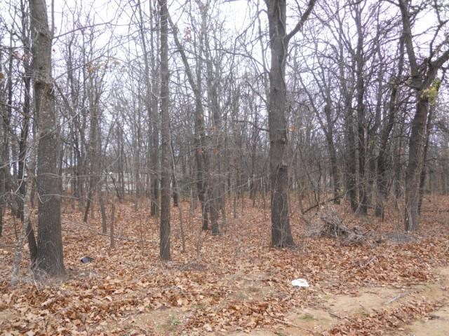 0 Birdhouse Road, Kingston, OK 73439