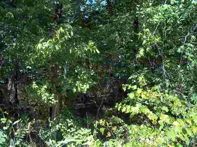 1352 Oak Ridge Drive, Kingston, OK 73439