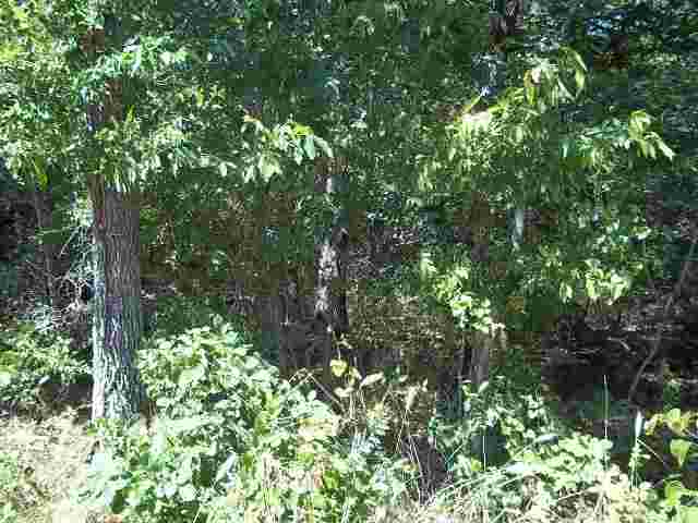 1352 Oak Ridge Drive, Kingston, OK 73439