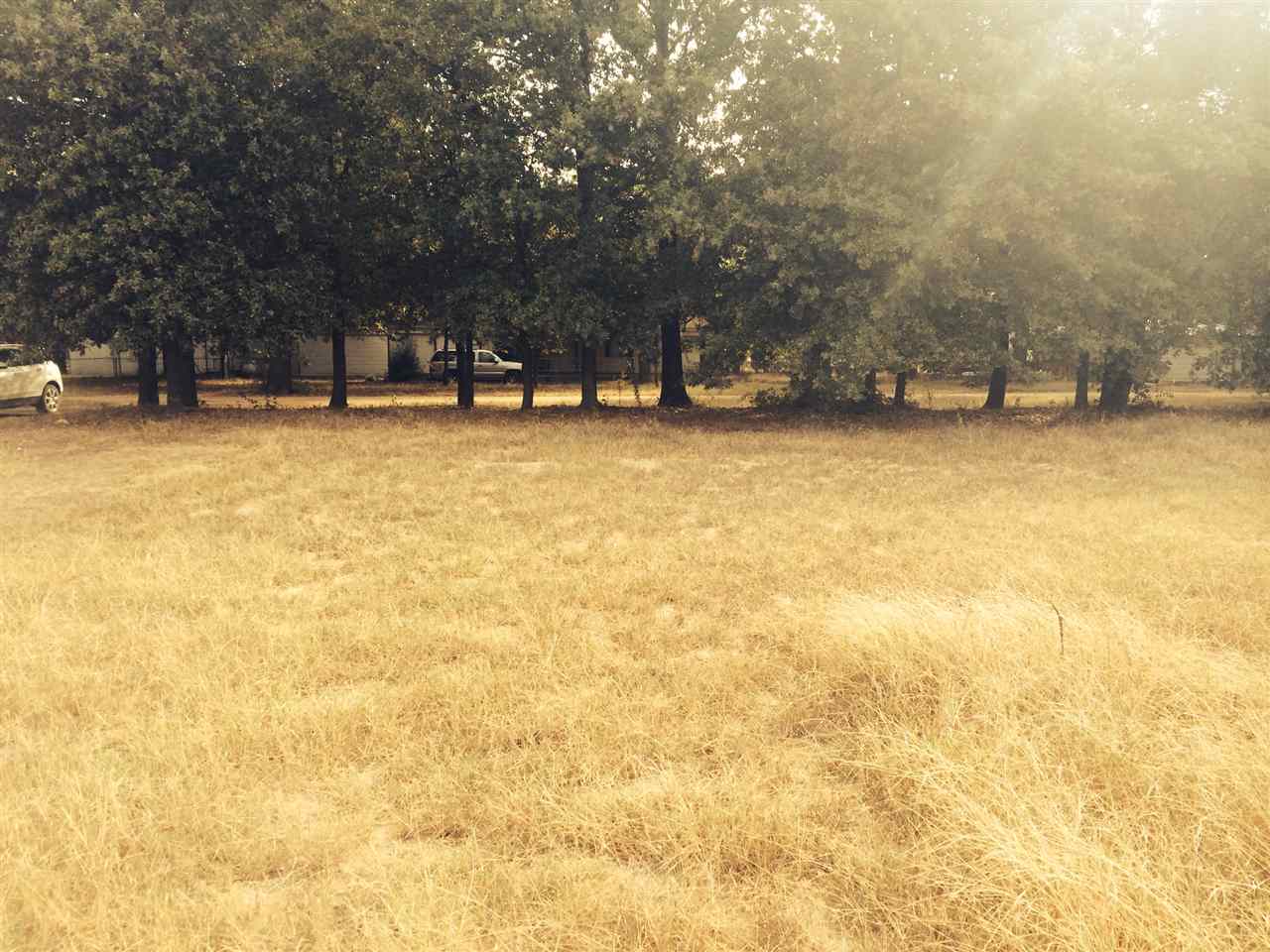 Tracie Del Lane, Kingston, OK 73439