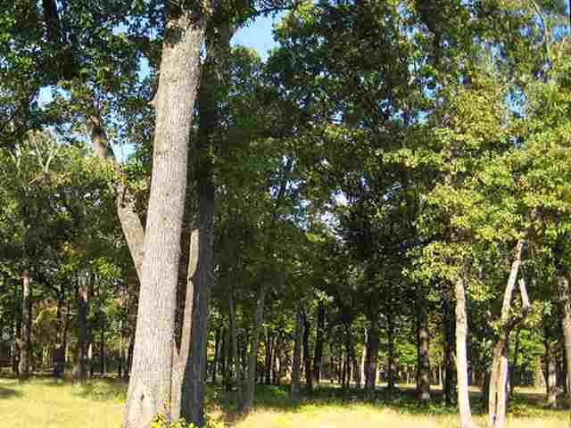 0006 Woodland Circle, Kingston, OK 73439