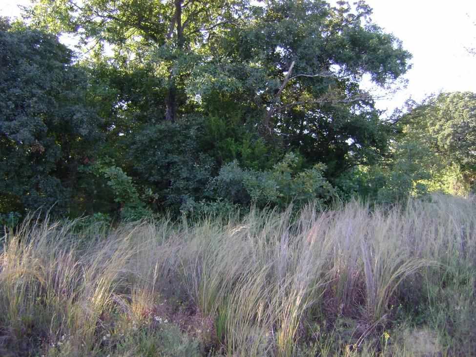 Shirlwood Rd, Kingston, OK 73439