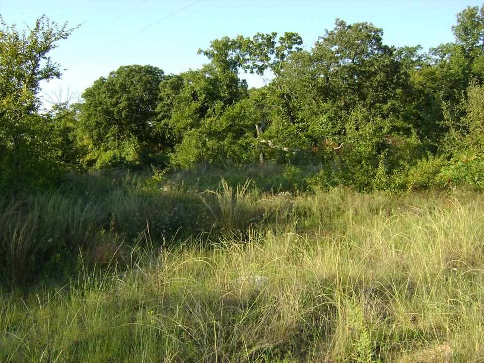 Shirlwood Rd, Kingston, OK 73439