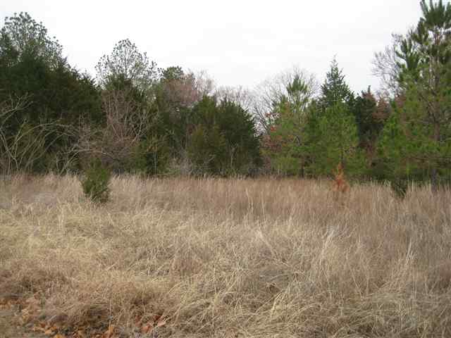 00 Goins Rd., Kingston, OK 73439