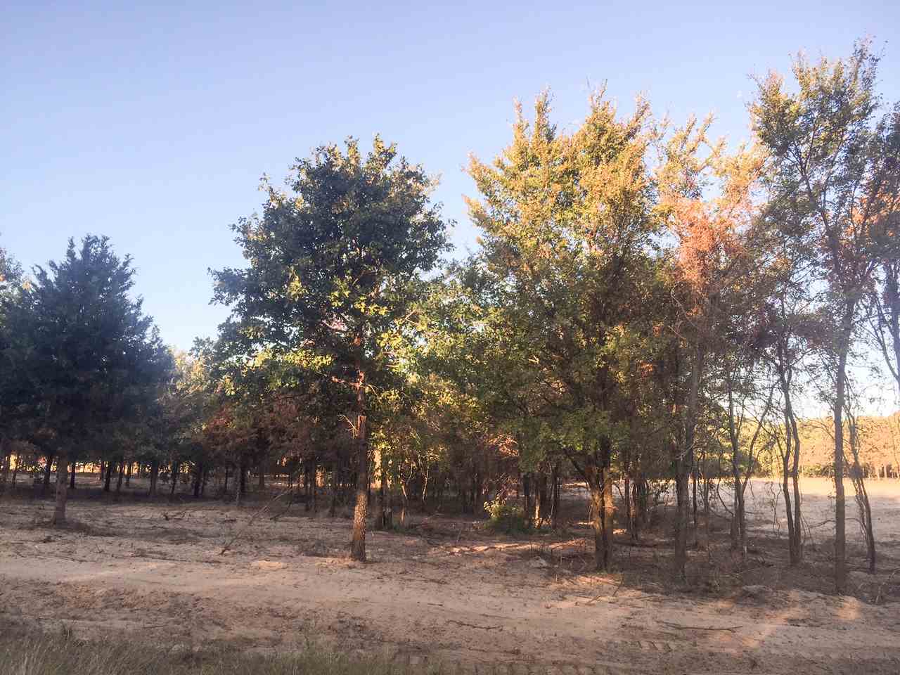 000 Lark Cemetery Rd, Kingston, OK 73439