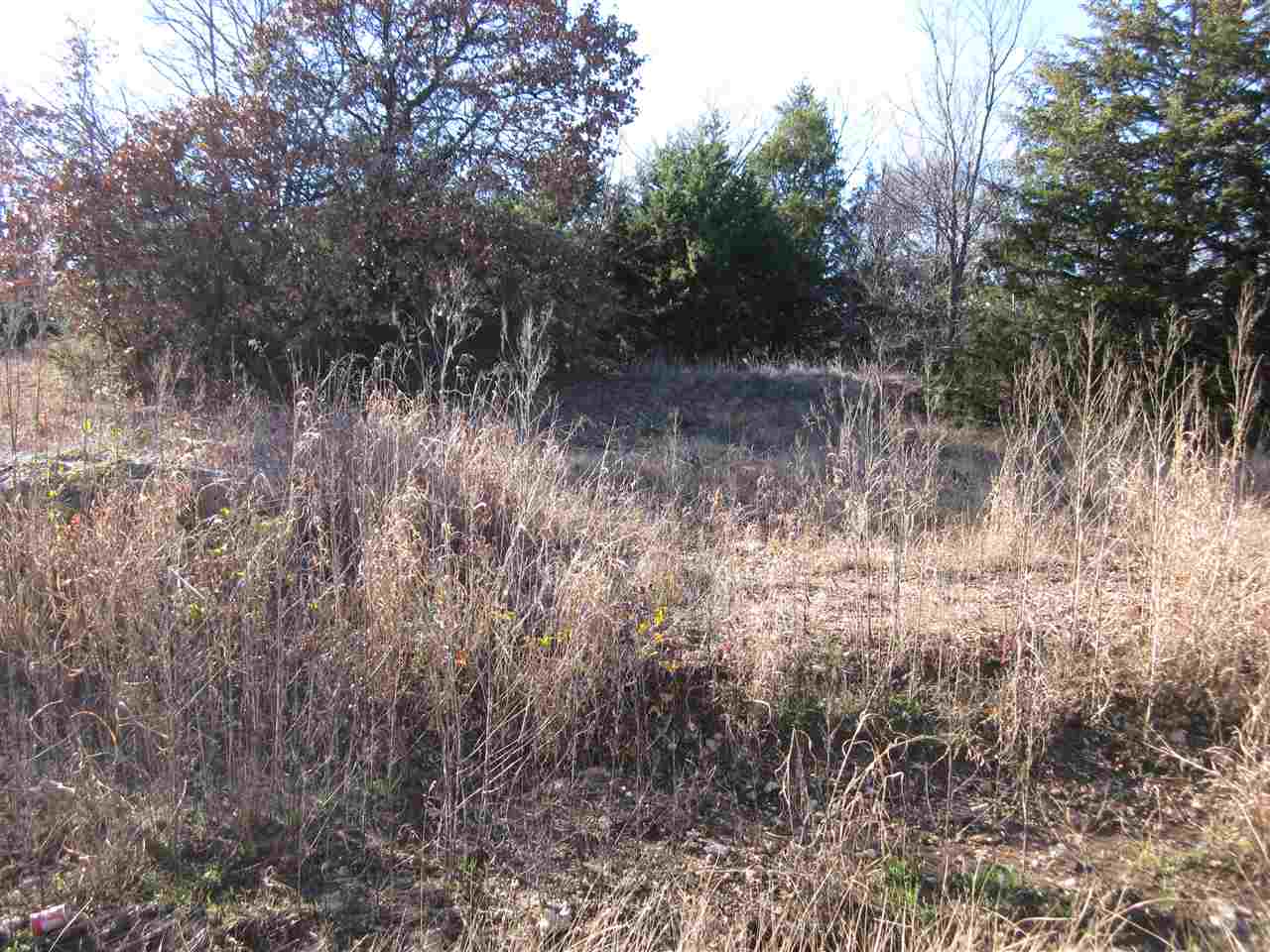 Shay Rd, Kingston, OK 73439