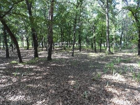 McDuffee Rd, Kingston, OK 73439