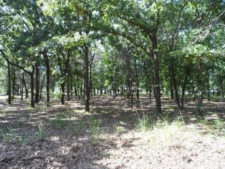 McDuffee Rd, Kingston, OK 73439