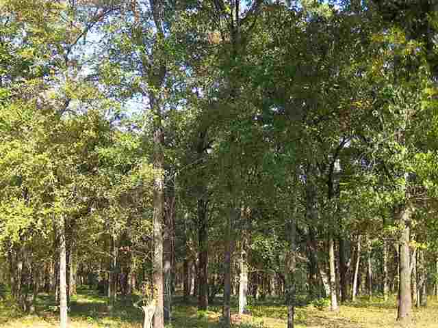 0040 Woodland Circle, Kingston, OK 73439