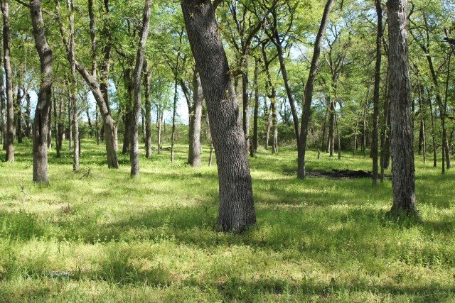 2001 Smallwood Path, Kingston, OK 73439