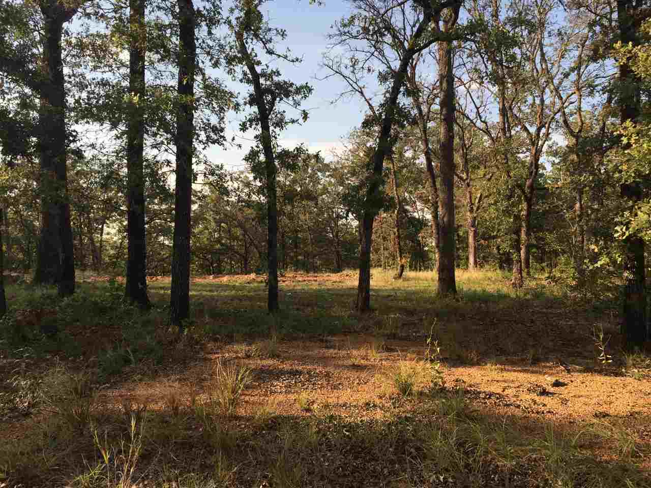 10427 Texoma Park Rd, Kingston, OK 73446
