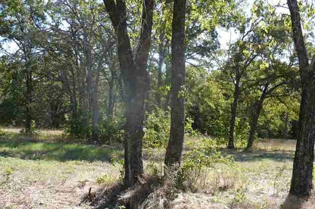 Lot 10 Bridlewood Drive, Mead, OK 73449