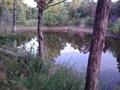 8800 Rock Creek Road, Tishomingo, OK 73460