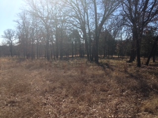 8800 Rock Creek Road, Tishomingo, OK 73460