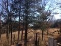 8800 Rock Creek Road, Tishomingo, OK 73460