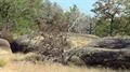 8800 Rock Creek Road, Tishomingo, OK 73460