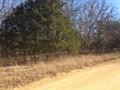8800 Rock Creek Road, Tishomingo, OK 73460