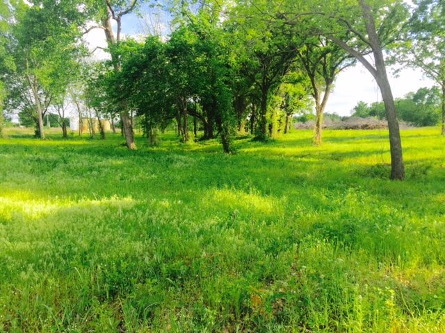 TBD W HW 70, Wilson, OK 73463