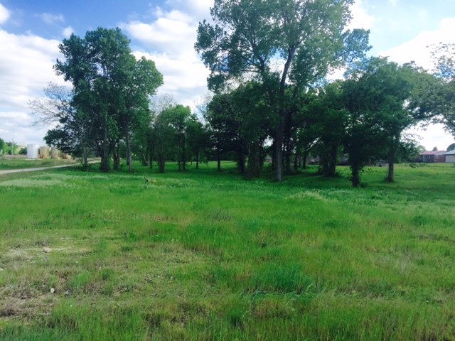 TBD W HW 70, Wilson, OK 73463