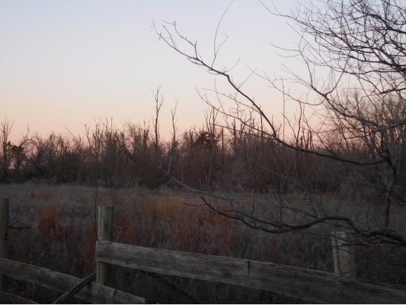 2083C.Rd 159, Altus, OK 73521