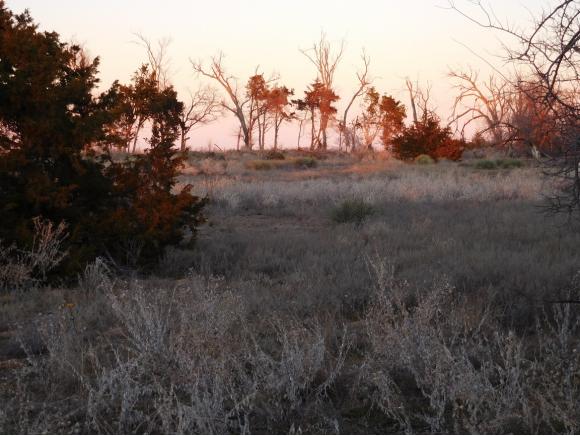 2083C.Rd 159, Altus, OK 73521