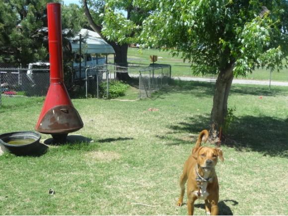 609 W 10th St., Cordell, OK 73632