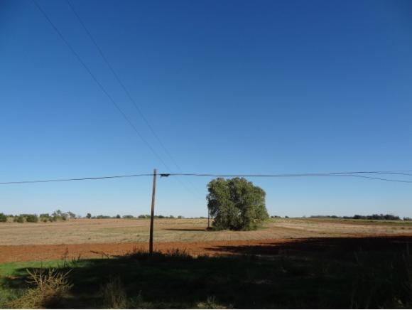 land E of Rambo, Dill City, OK 73641