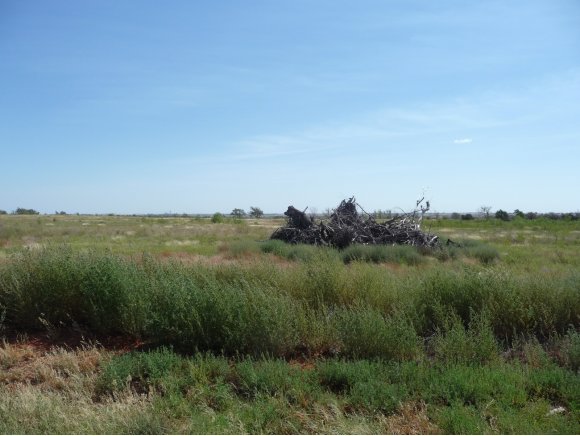 N/AN 1990, Elk City, OK 73644