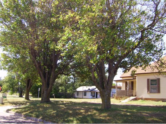507 W 8th St., Elk City, OK 73644