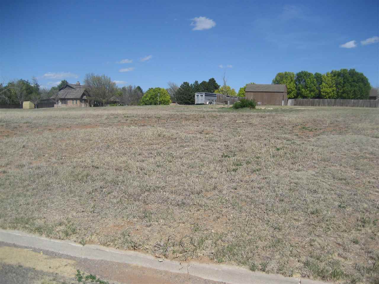 1234 Cottonwood Dr, Shattuck, OK 73858