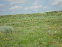 Rural Route, Shattuck, OK 73858