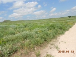 Rural Route, Shattuck, OK 73858