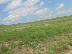 Rural Route, Shattuck, OK 73858