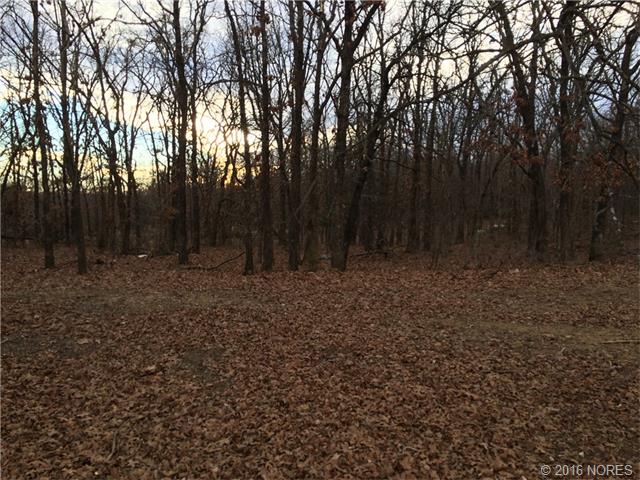 Mountain Road, Bartlesville, OK 74003