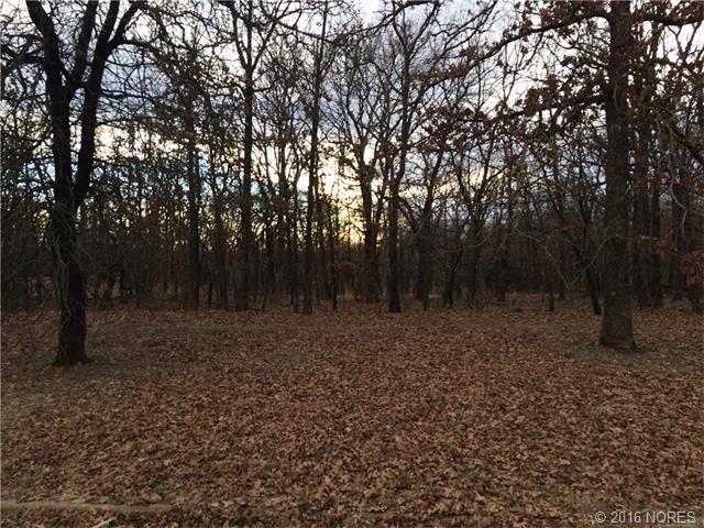 Mountain Road, Bartlesville, OK 74003