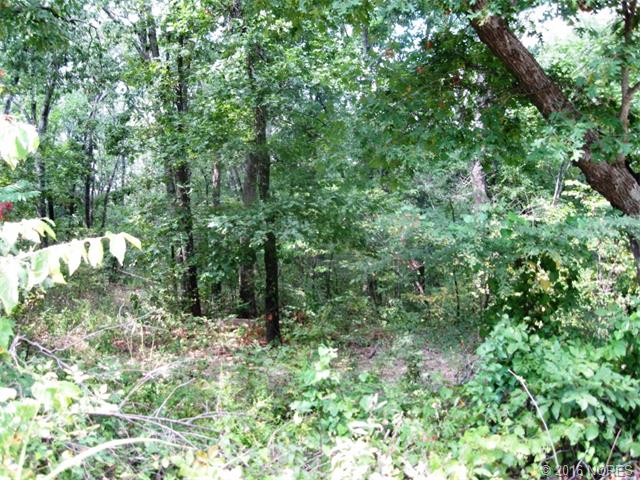 Hollingshead Road, Claremore, OK 74019